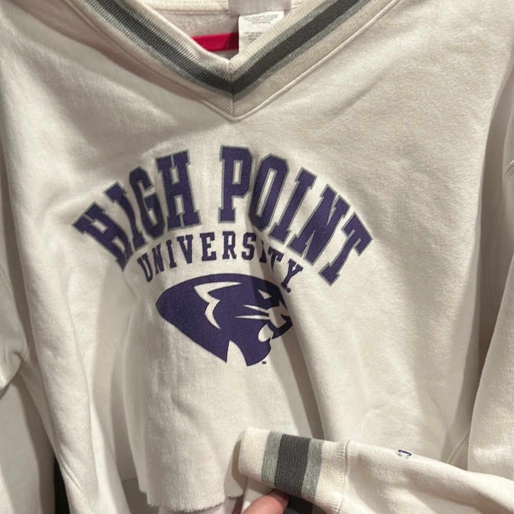 Champion crop top sweatshirt.